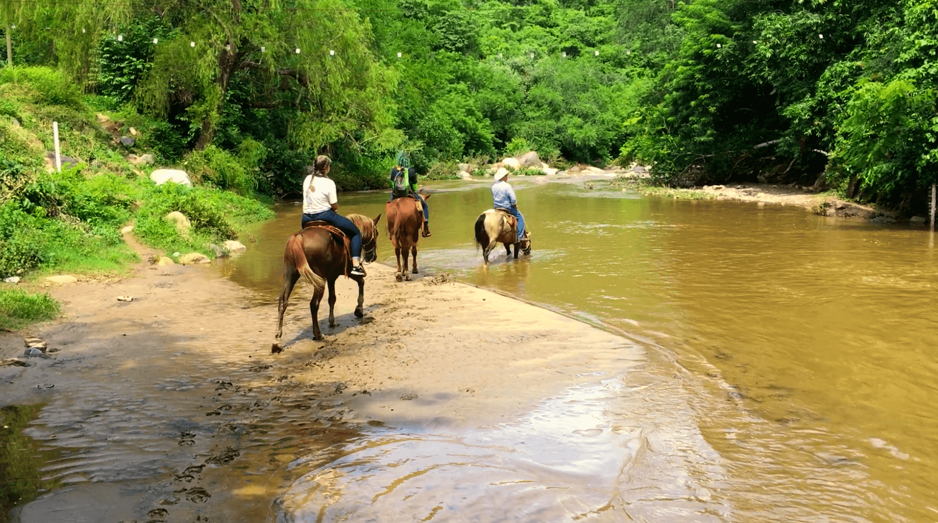 Horseback Riding & Adventure at Estigo Tours in Sierra Madre