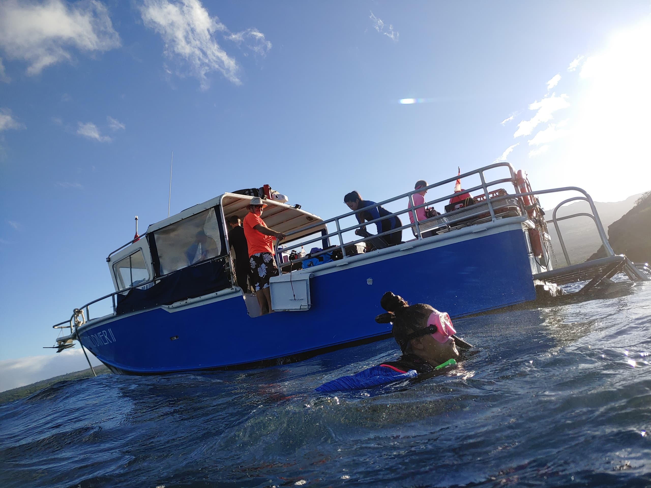 Water Activities: Prodiver Maui’s PADI Certification Voyage