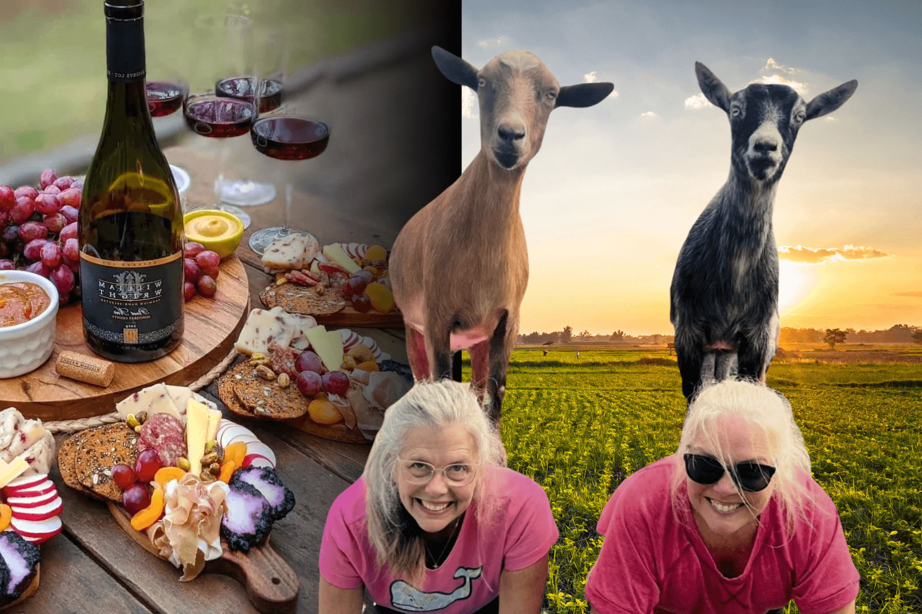 Unwind with Goat Yoga and Wine in Glen Allen, Virginia