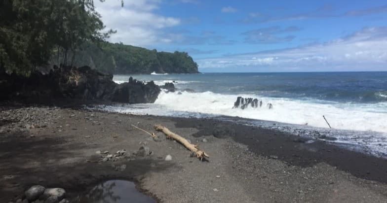 Black sand beach shoreline with surf and coastal trees