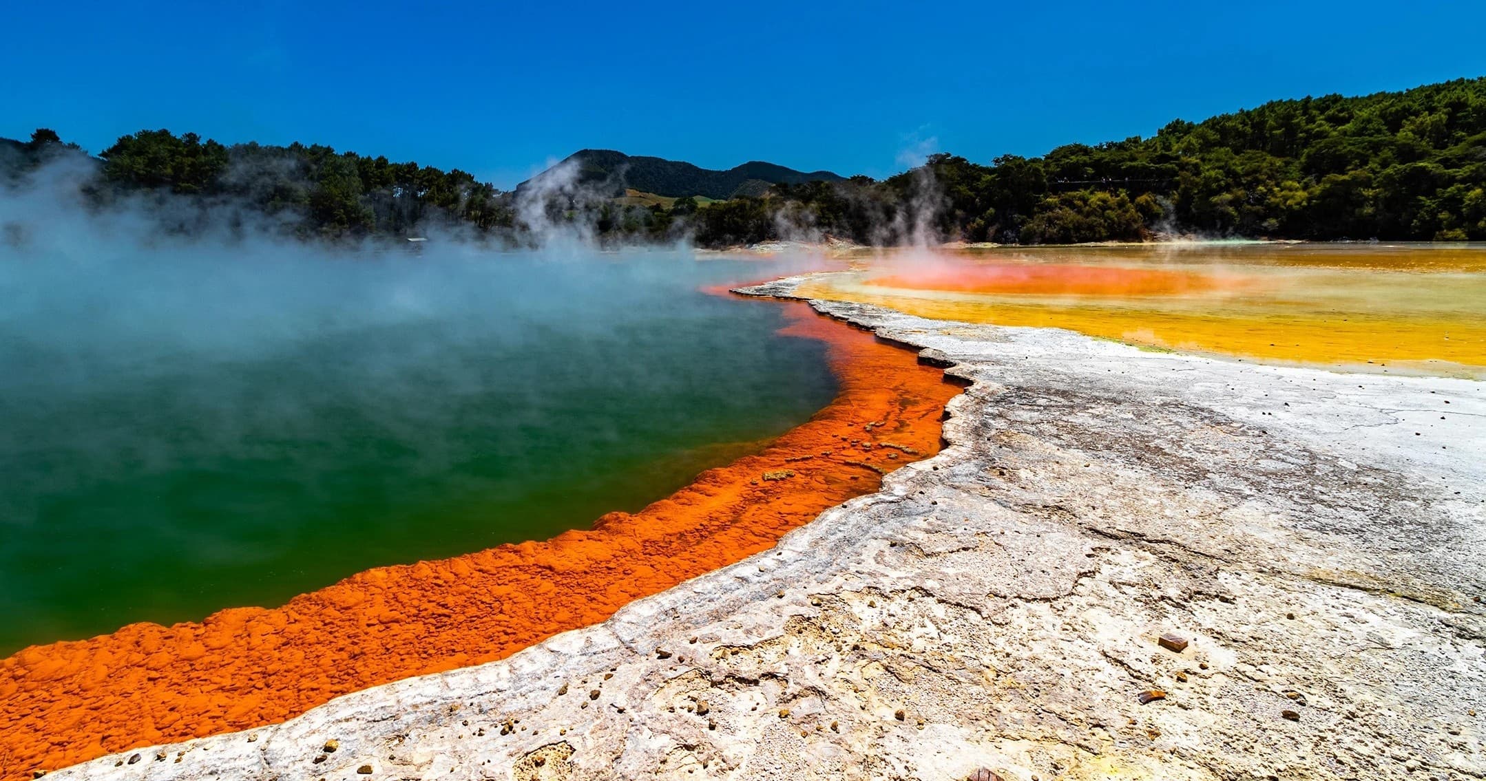 Colorful geothermal pool at Rotorua Wai-O-Tapu scenic park