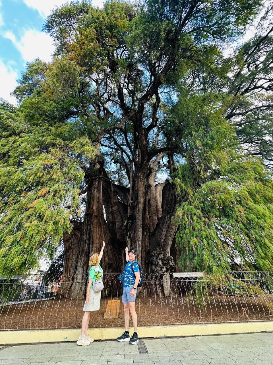 Discover Oaxaca’s Wonders with Enjoy Oaxaca’s Signature Tour
