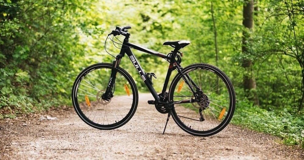 Mountain bike parked on forest trail amid green woodland scenery