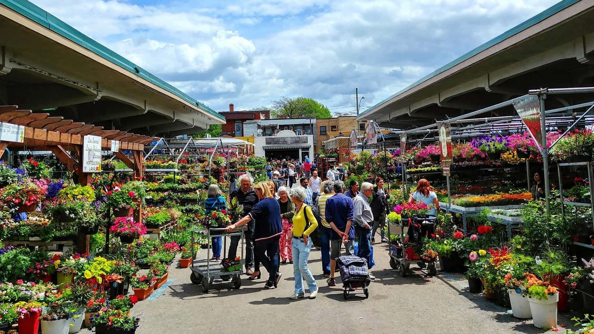 Little Italy & Jean Talon Market Walking Tour: Montreal Neighborhood Stroll
