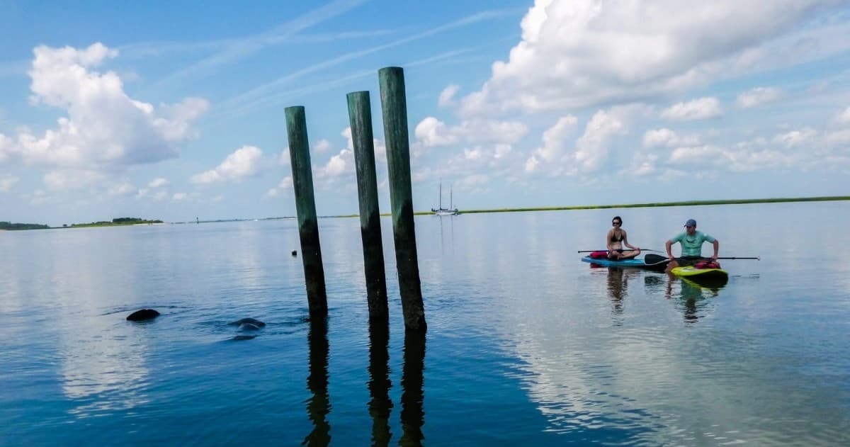 Water Activities & Jekyll Island by Golden Isles Paddle Co.
