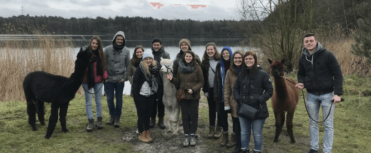 Wildlife & Nature: AlpacaWandeling in Kaulillen Forests