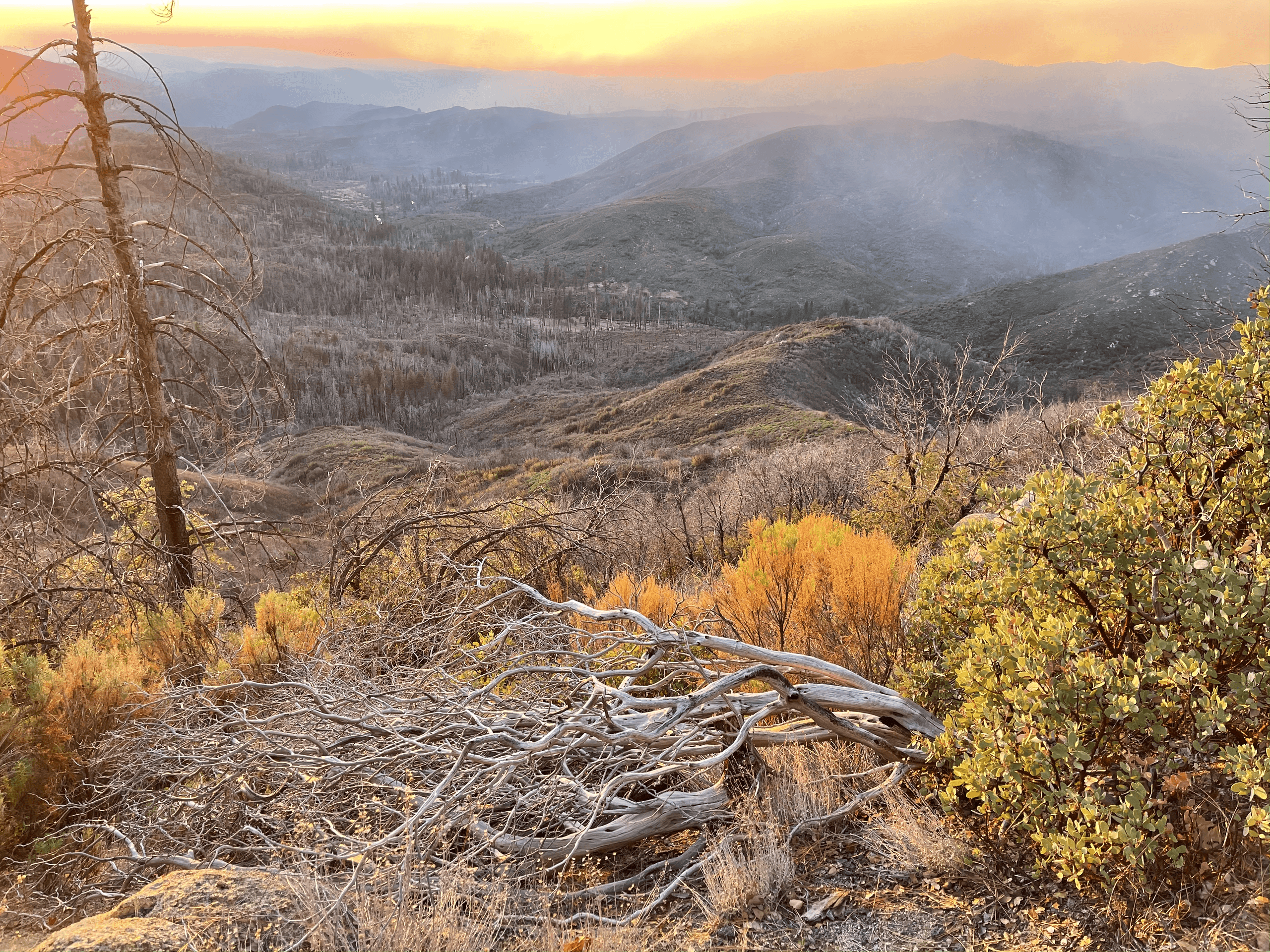 Sierra Sunset BBQ & Stargazing