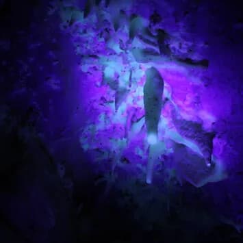 Black Light Tour: Glow-in-the-Dark Cave Experience in Dubuque, Iowa
