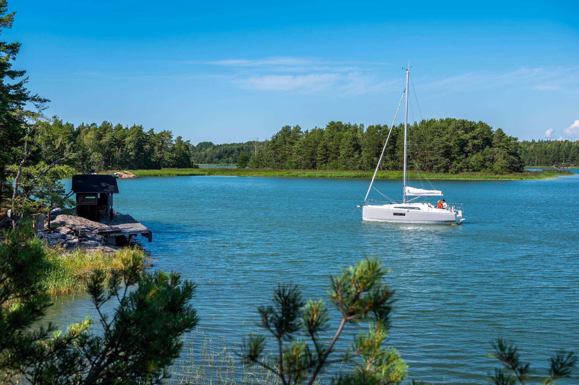 White sailboat drifting in a tree-lined serene lake inlet