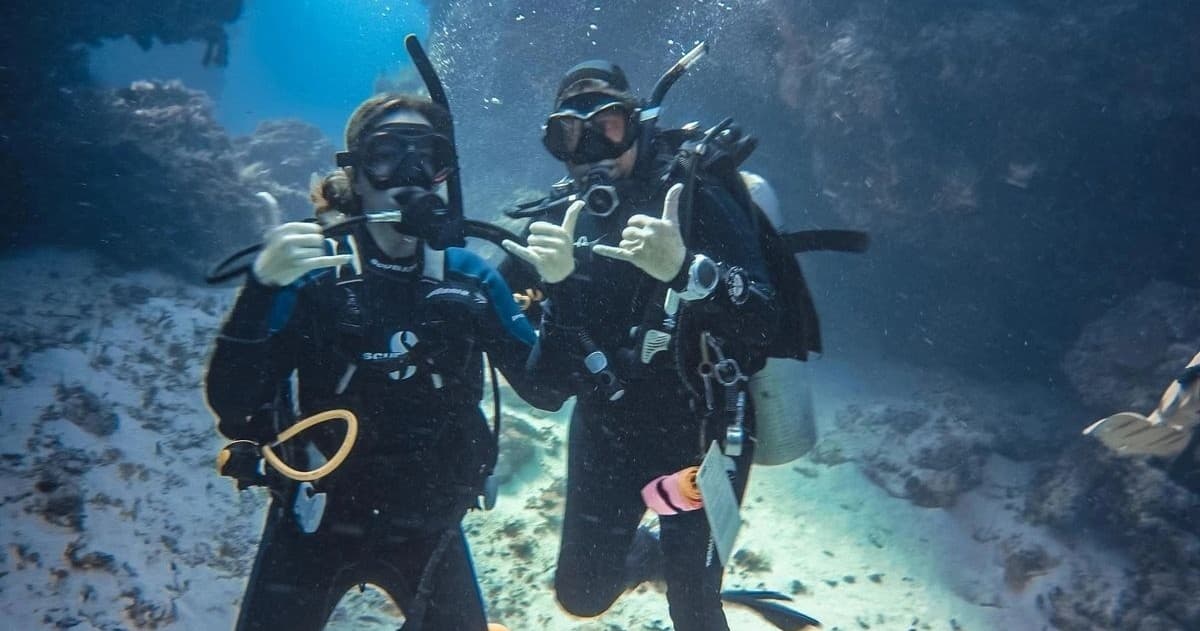 Catalina Refresher Training: Half-Day Scuba Refresher in Avalon’s Kelp Forests