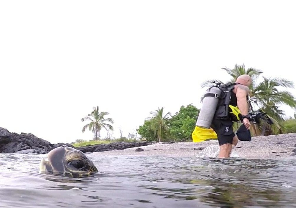 Top Rental Equipment in Honolulu, Hawaii with Dive Oahu