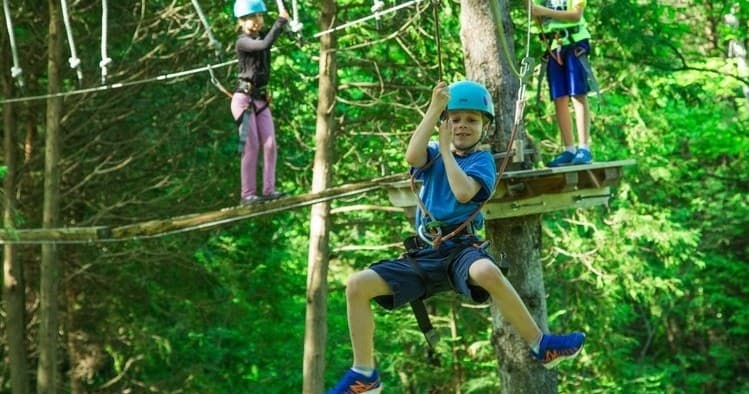 Treetop Trekking Miami fleet