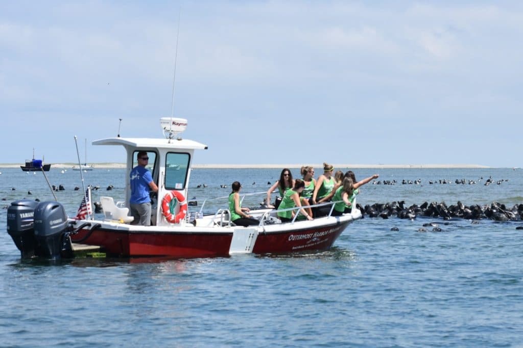 Passengers on wildlife cruise boat near seal rocks off Chatham