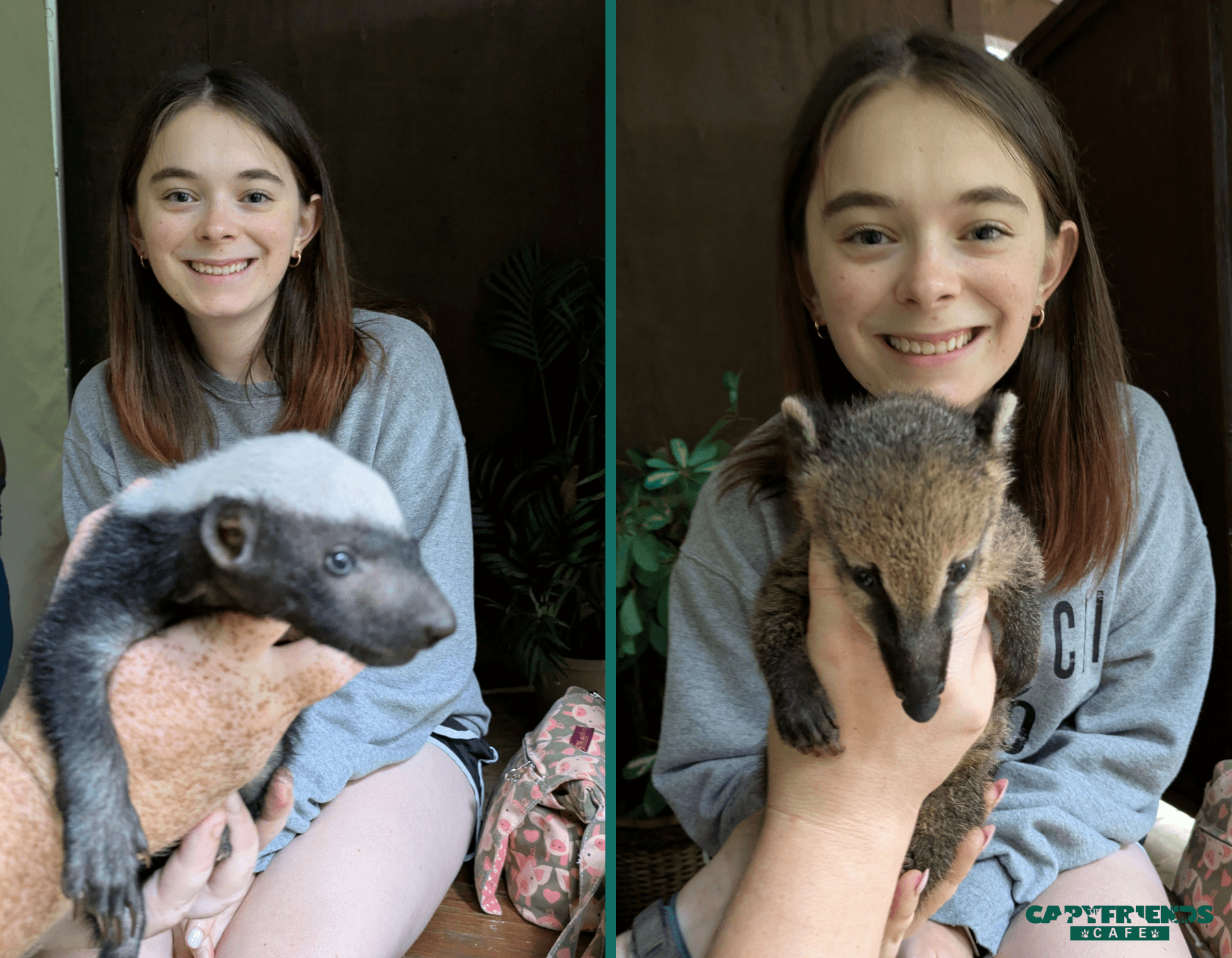 Meet Baby Animals at Capyfriends Cafe in Helen, GA