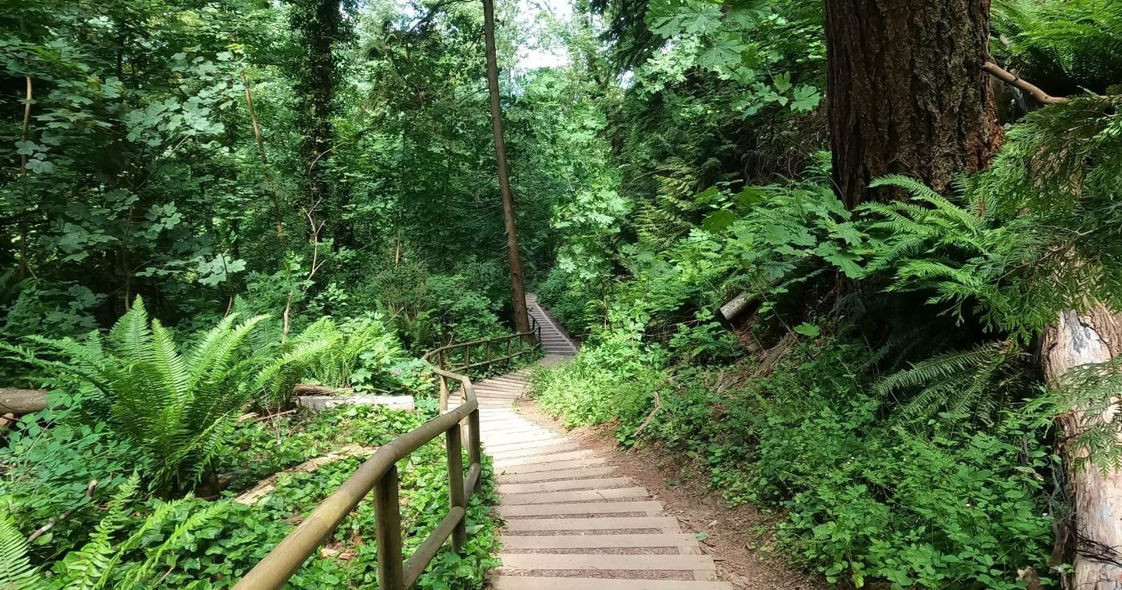 Outdoor Fitness Tour with Breakaway Adventures in Vancouver
