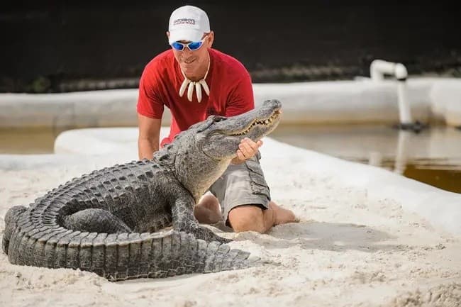 Thunder Through the Glades: 60-Minute Private Everglades Airboat Tours from Fort Lauderdale