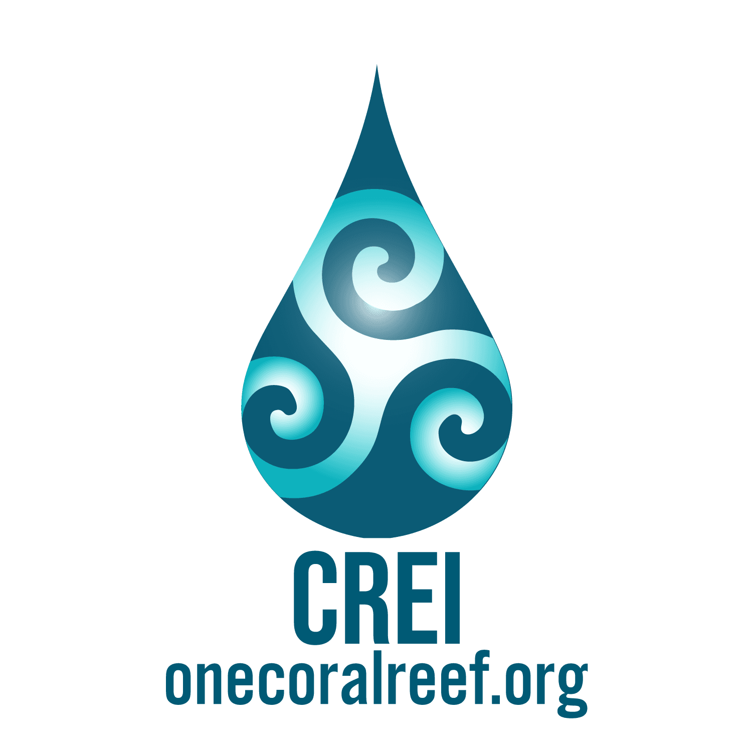 Donation Make A Difference Snorkeling in Hawaii