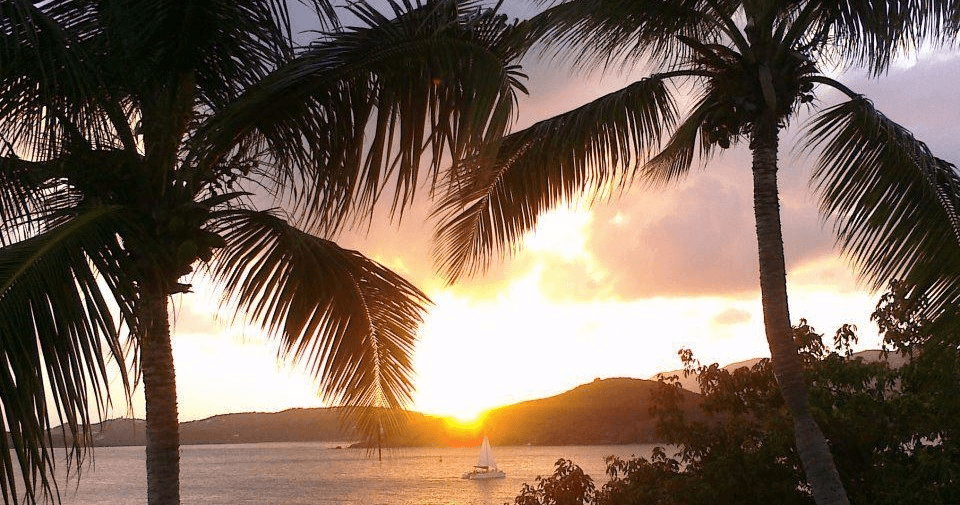 Sunset over tropical bay framed by palm trees in St. Thomas