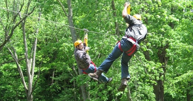 Two people ziplining through lush green forest canopy on tandem line