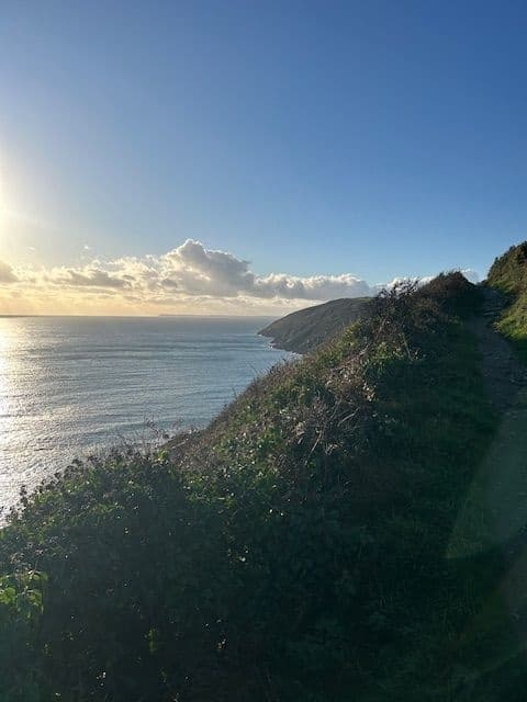 Looe and Beyond Walking Tours team