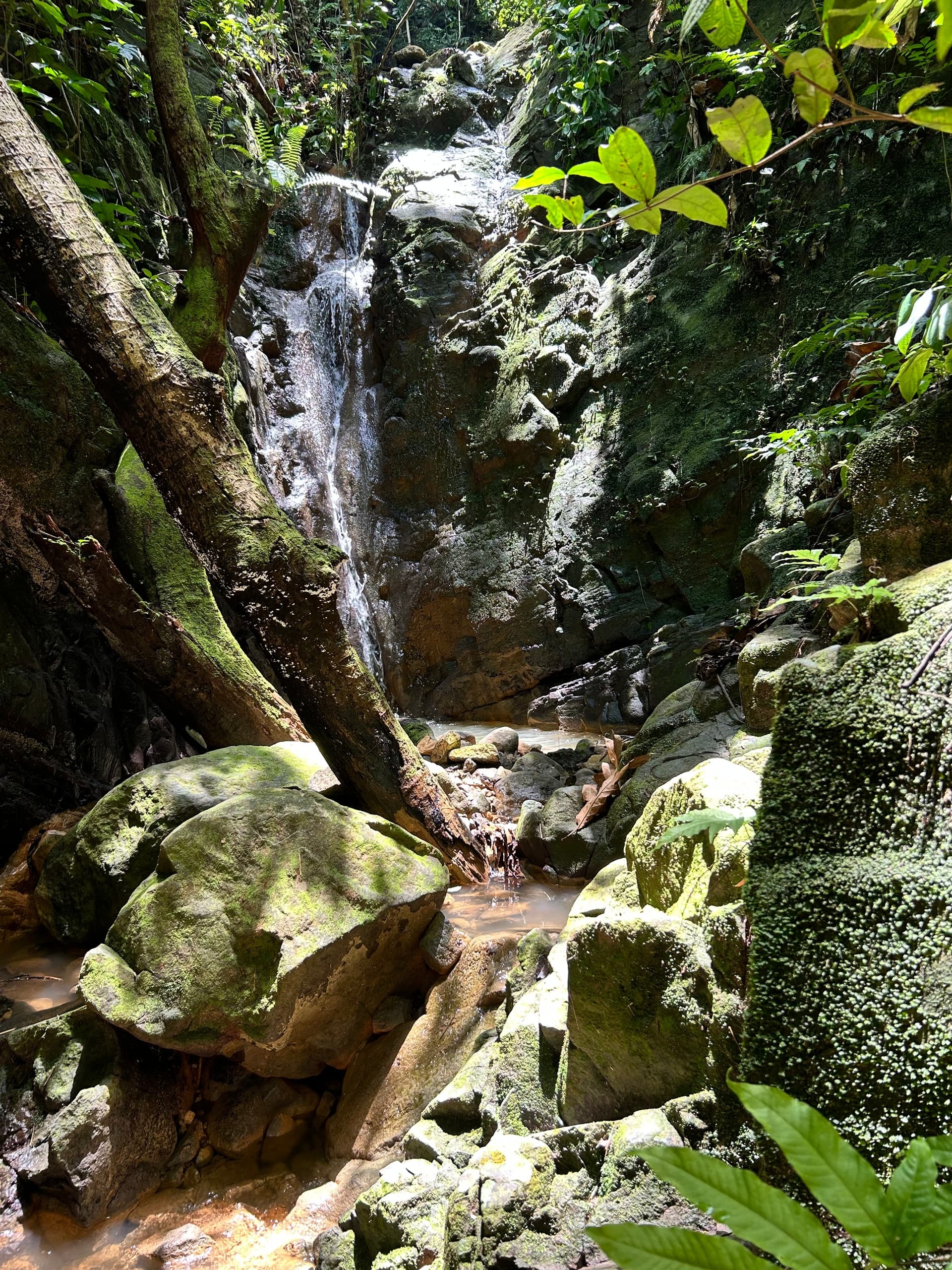 Off-Grid Earthship Tour and Waterfall Hike in Aguada, Puerto Rico photo 1