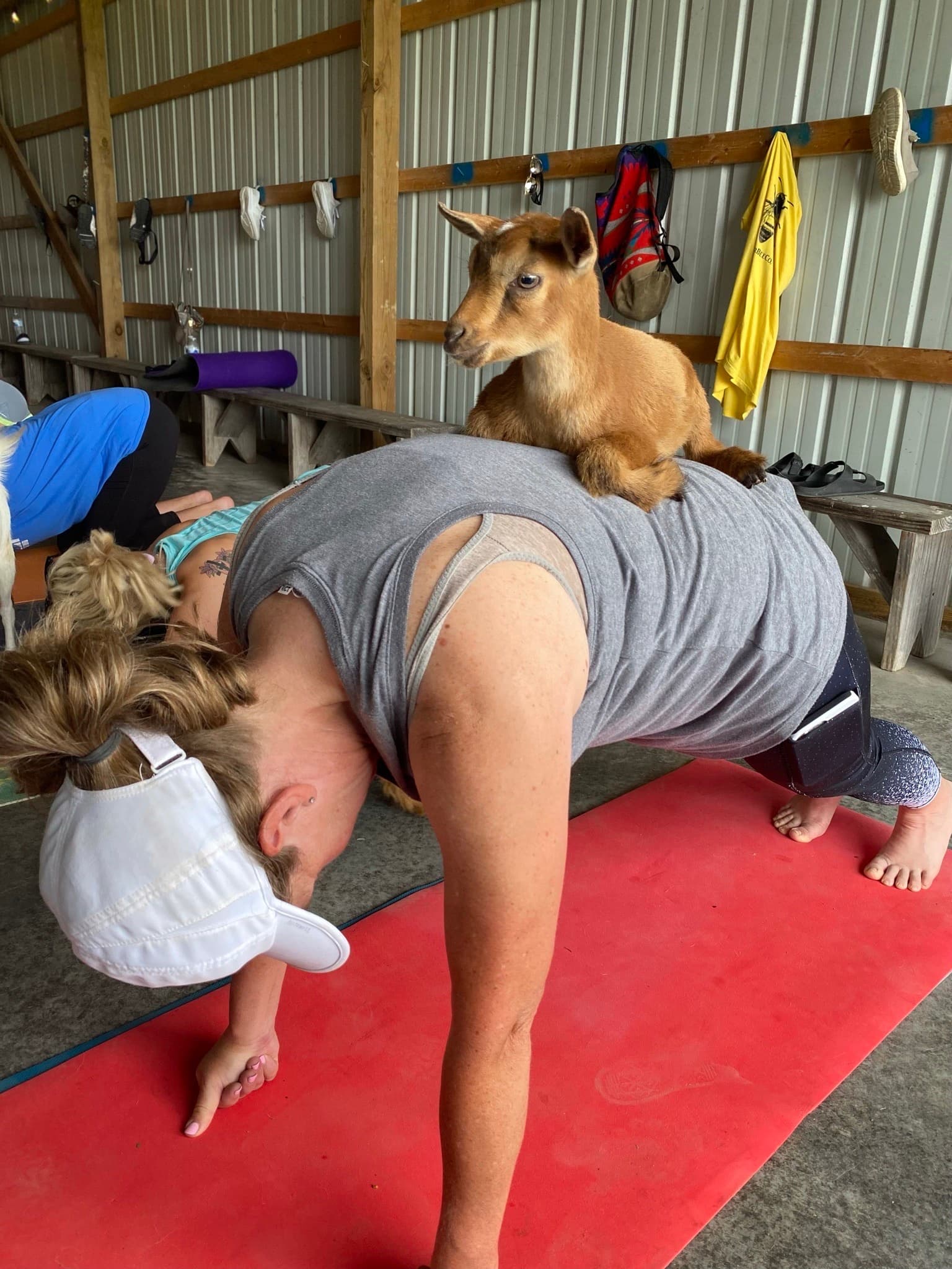 Goat Yoga at Benton Farm in Walton, Kentucky