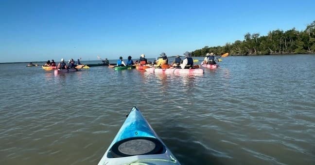 Kayakers paddling in coastal bay with clear blue sky