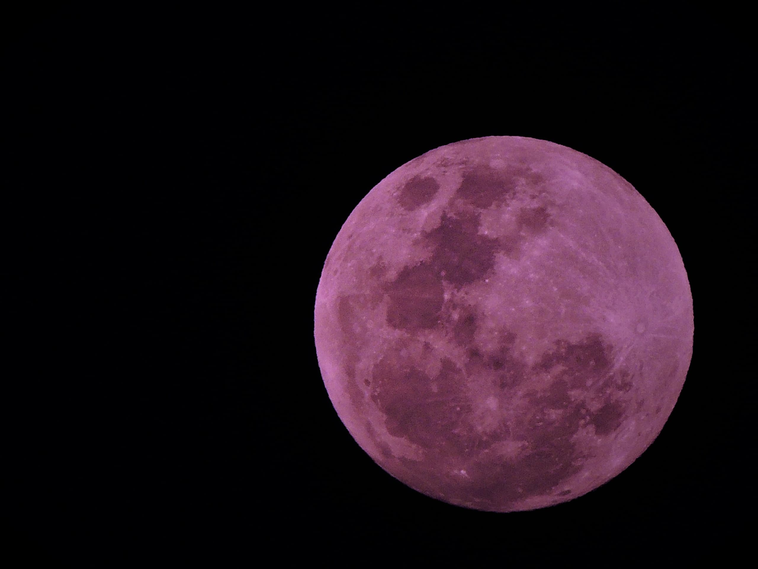 Moonlit Crafts and Telescopes: Pink Moon Celebration at Ogden Nature Center