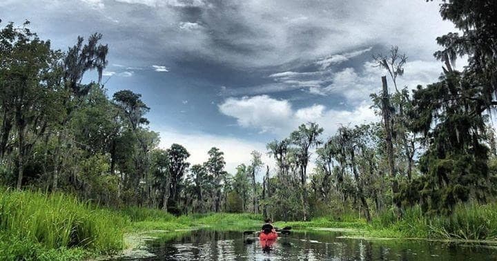 Solo kayaker paddling through swamp under dramatic sky