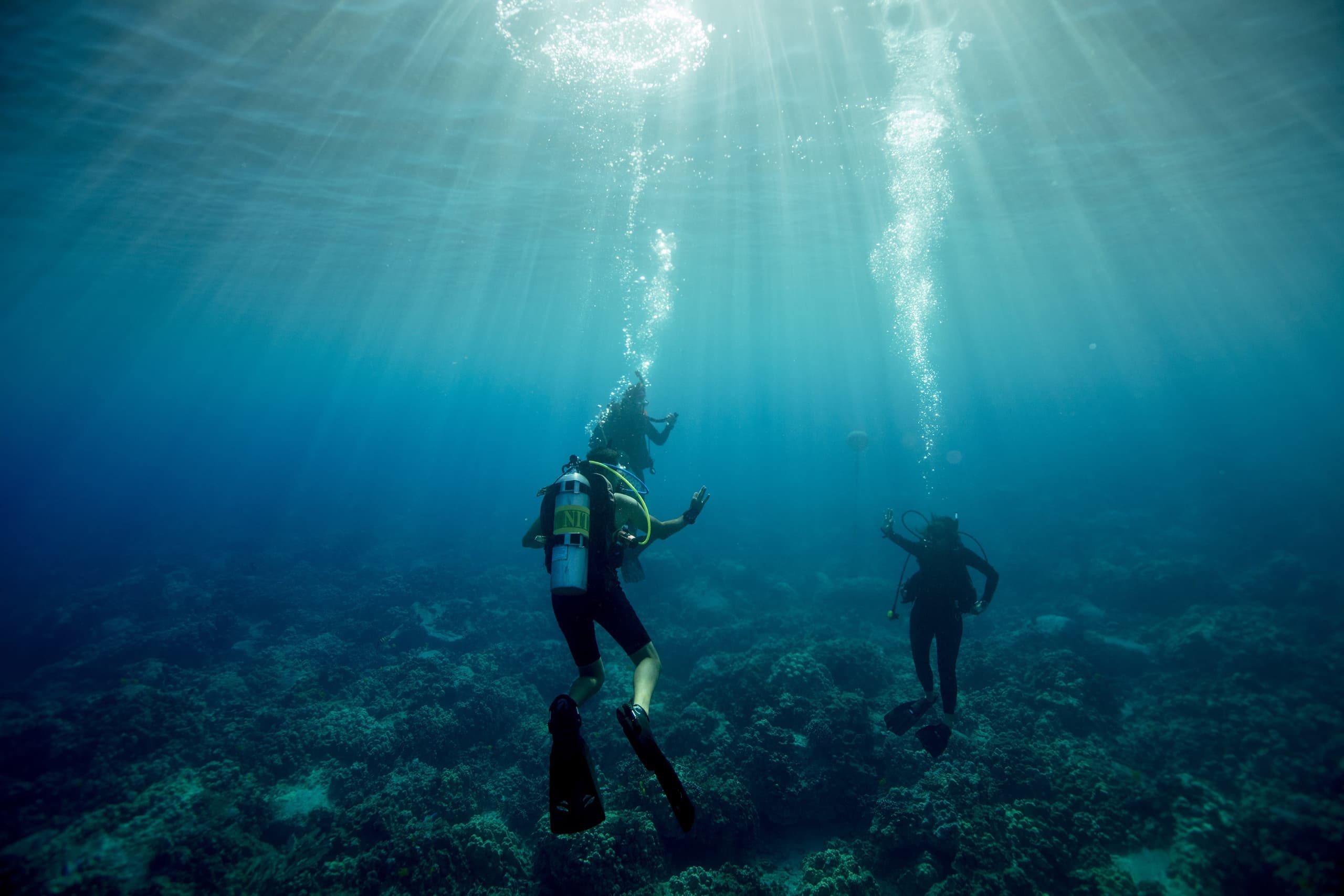 Scuba divers under sunbeams exploring clear reef seascape