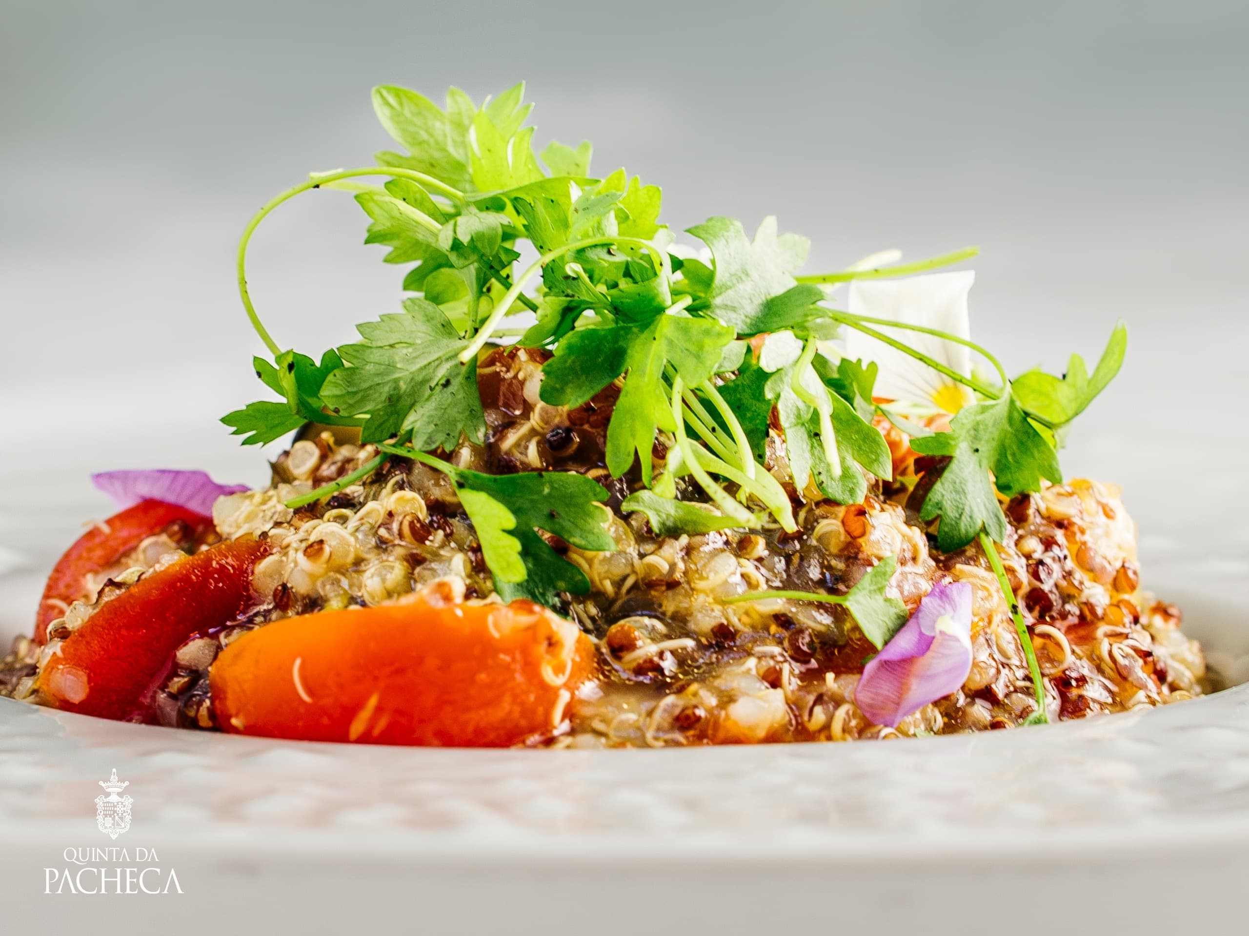 Douro Dinner: 3-Course Tasting with Quinta da Pacheca Wine Pairings photo 2