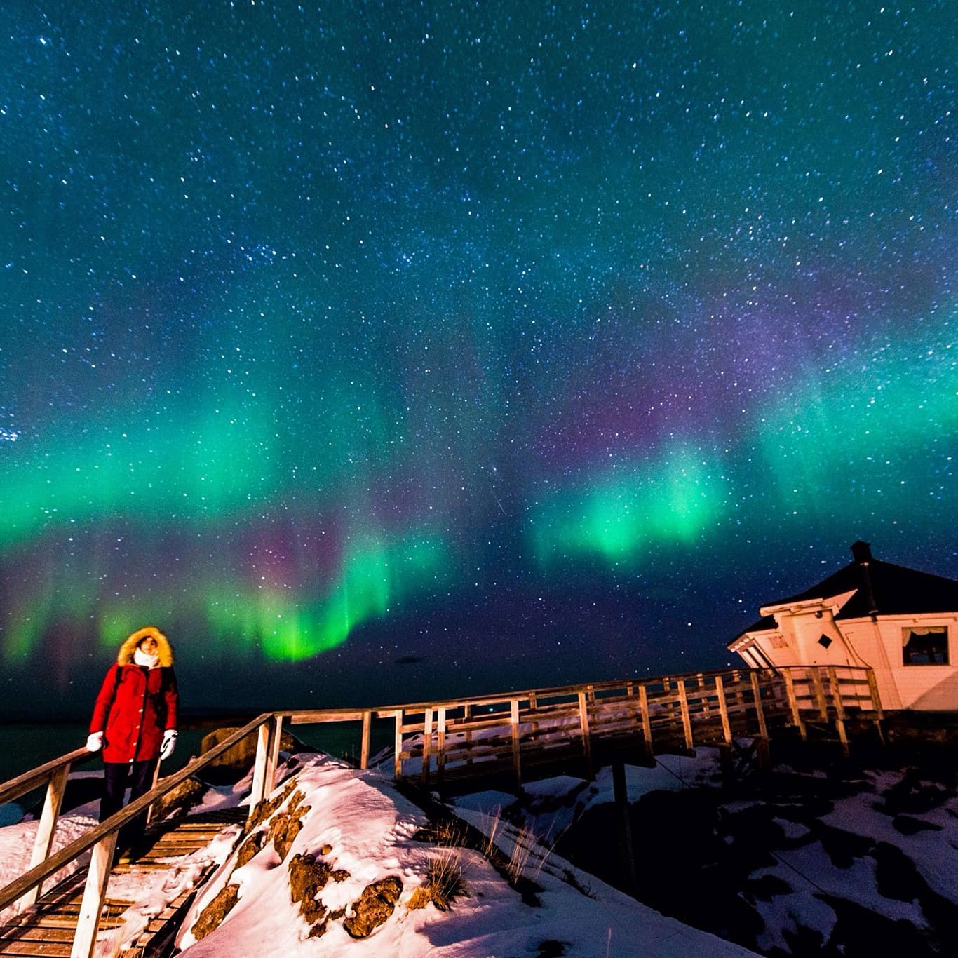 Northern Lights Photo Course with Hamn i Senja in Troms