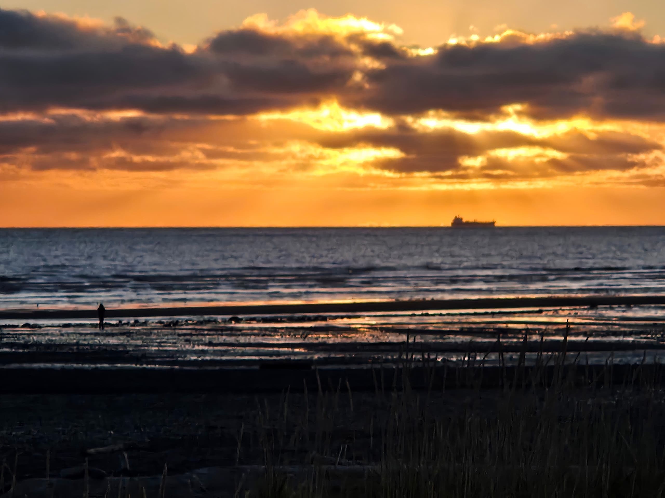 Kenai Peninsula Shuttle Services & Private Charters