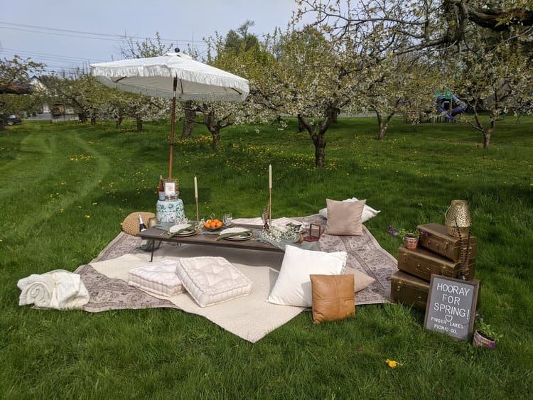 Luxury Picnic Experience at Finger Lakes