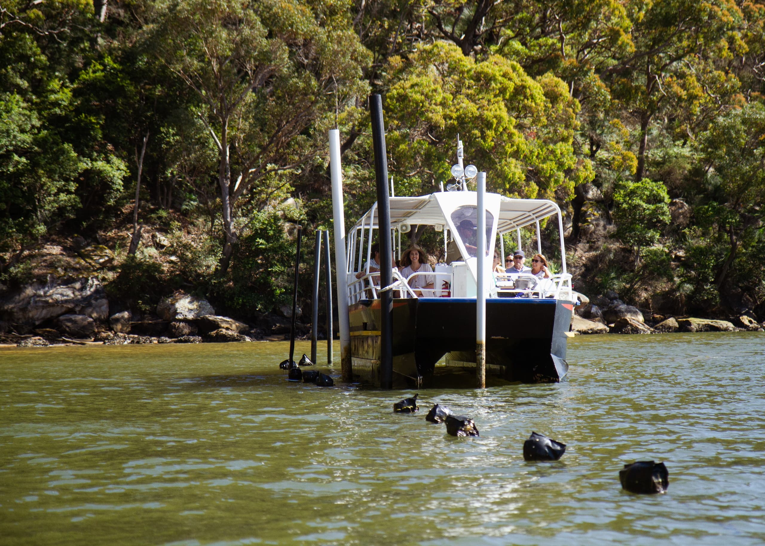 Small moored boat among mangroves, wildlife and estuary tour
