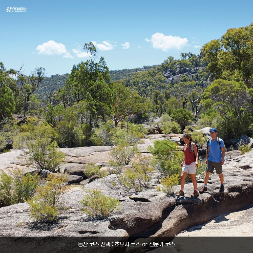 Girraween National Park Day Tour from Brisbane: Little Wave Rock & Angel Cave photo 3