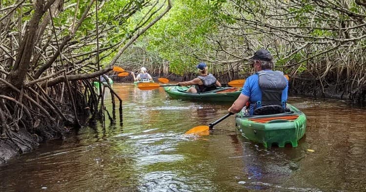 Kayak Rentals on Marco Island with Marco Island Family Rentals photo 1
