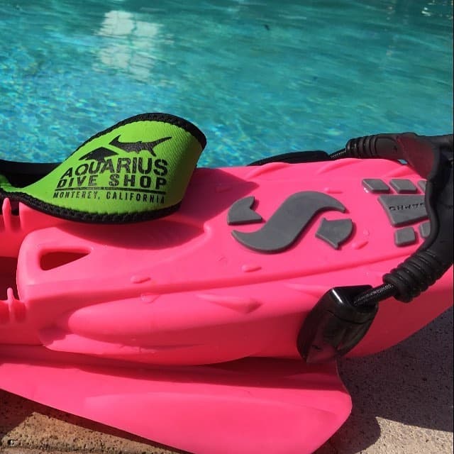 Snorkel Package at Aquarius Dive Shop in Monterey