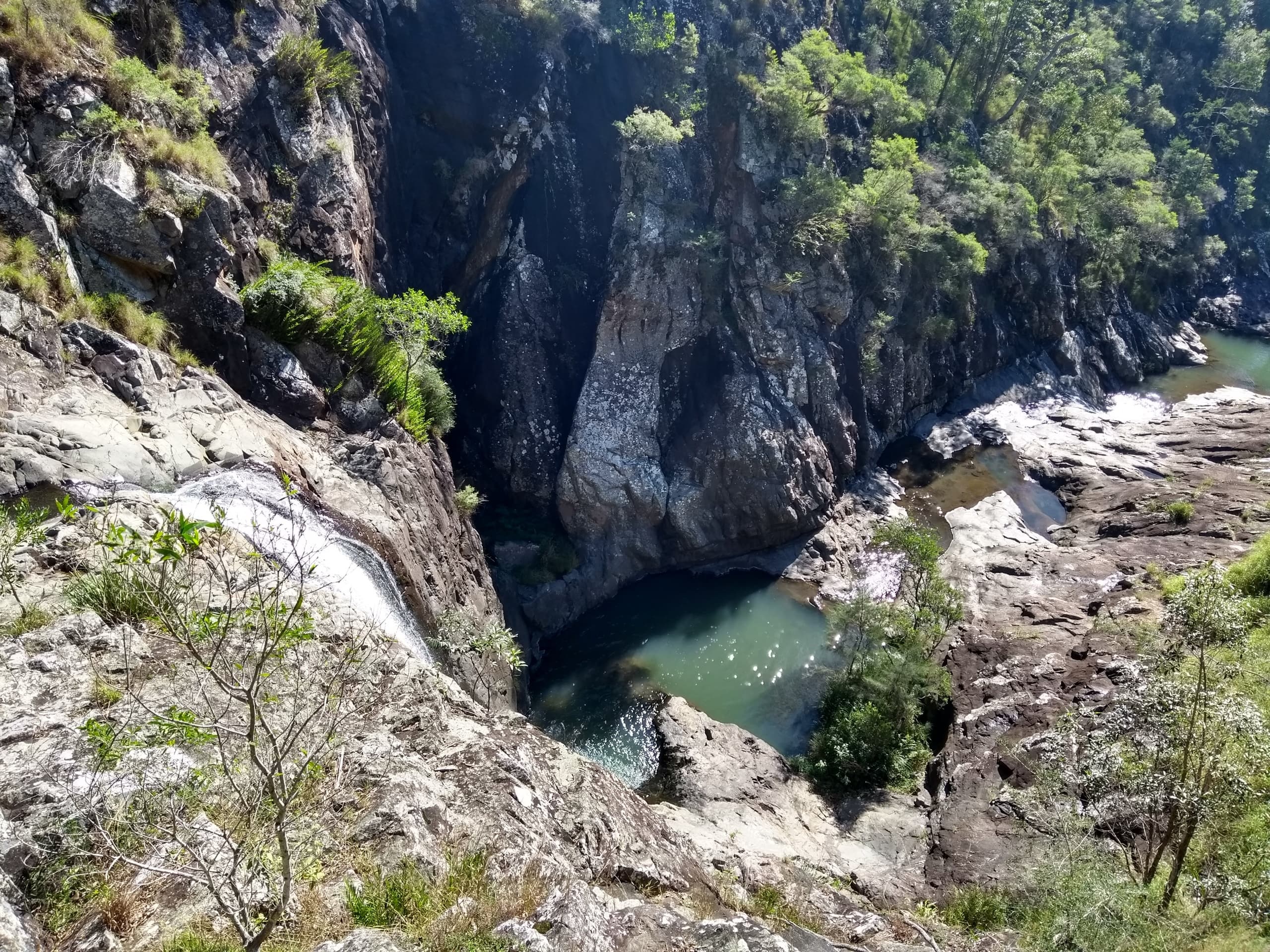 Canopy Walks, Glow Worms and Village Flavors on Tamborine Mountain