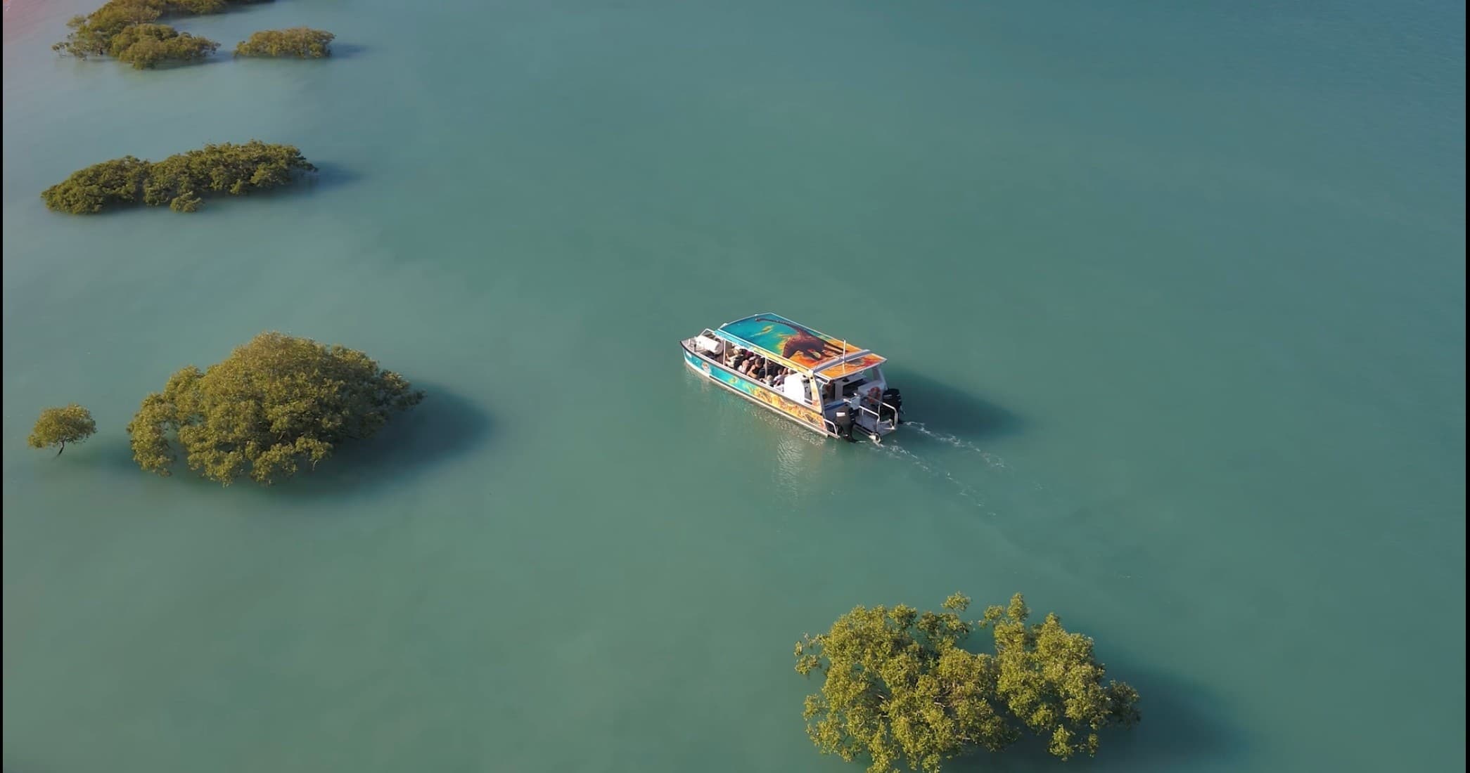 Roebuck Bay Cruise on the Brahminy Kite: Mangroves, Birds & Beachside Tapas