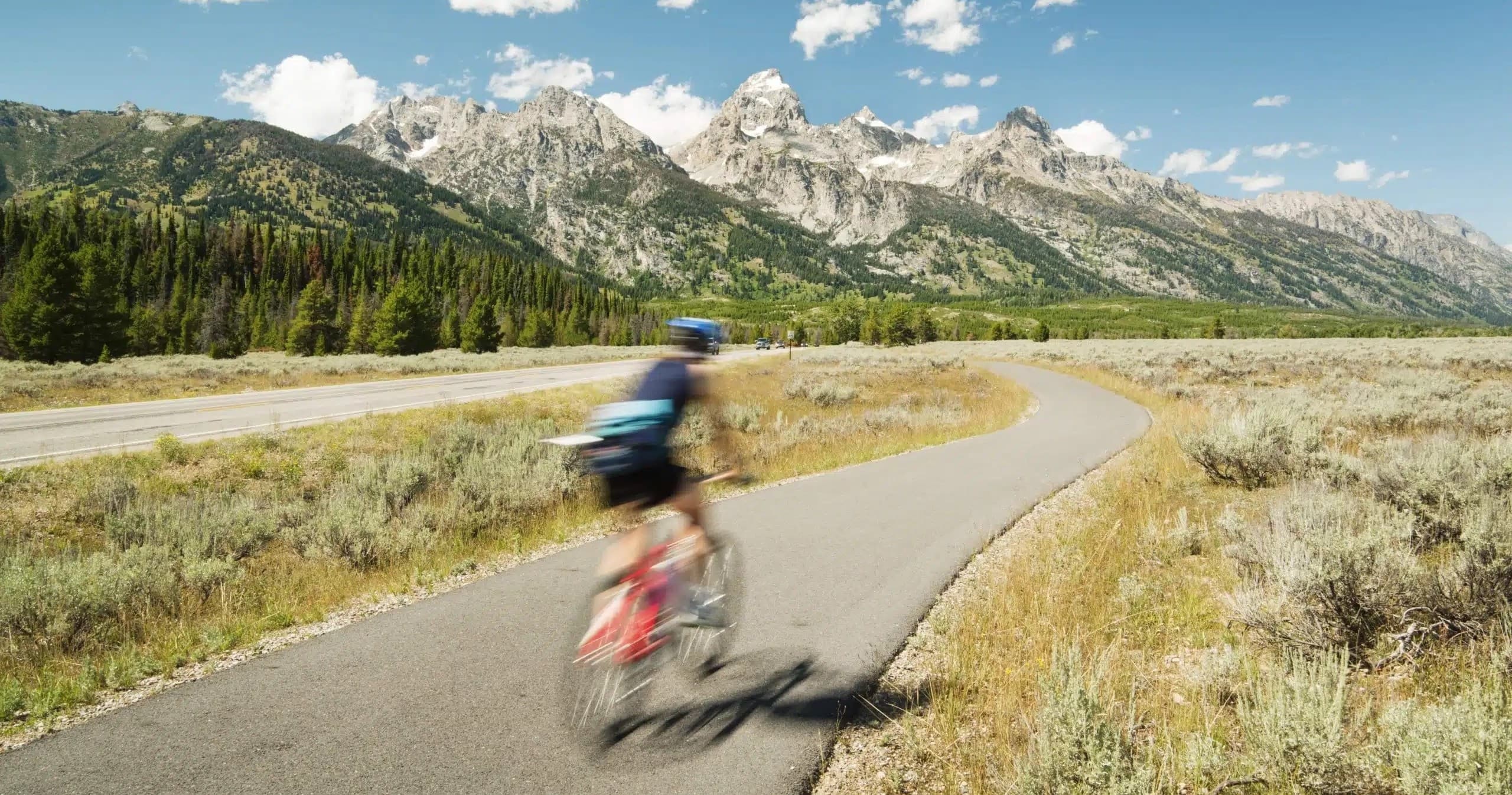 Wildlife & Mountain Biking with Good Trip Adventures in Grand Teton