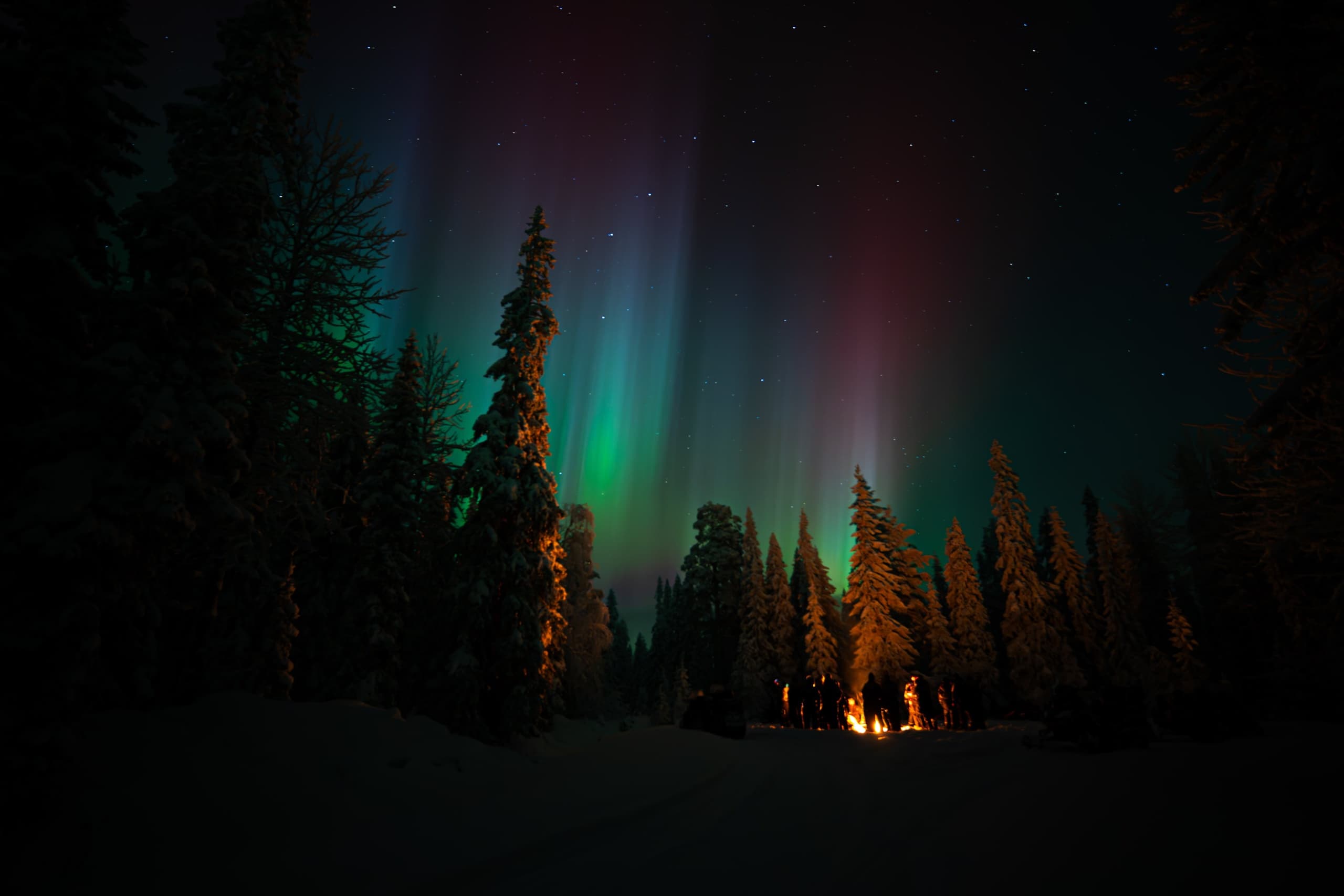 Chase the Aurora: Northern Light Snowmobile Safari from Iso-Syöte
