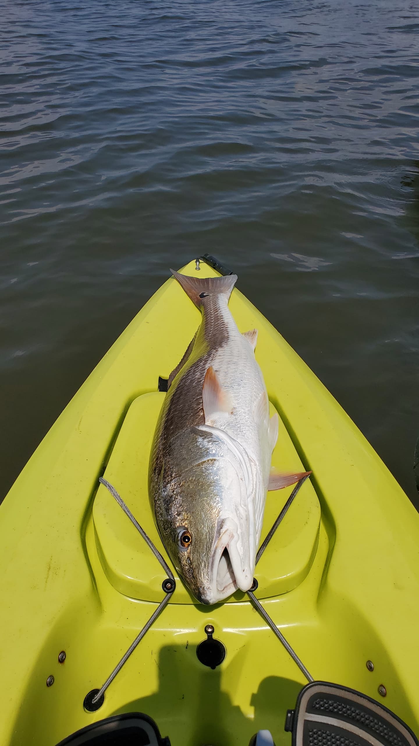 Four-Hour Inshore Charter in Santa Rosa Beach — Fast Inshore Fishing on Florida’s Emerald Coast photo 1