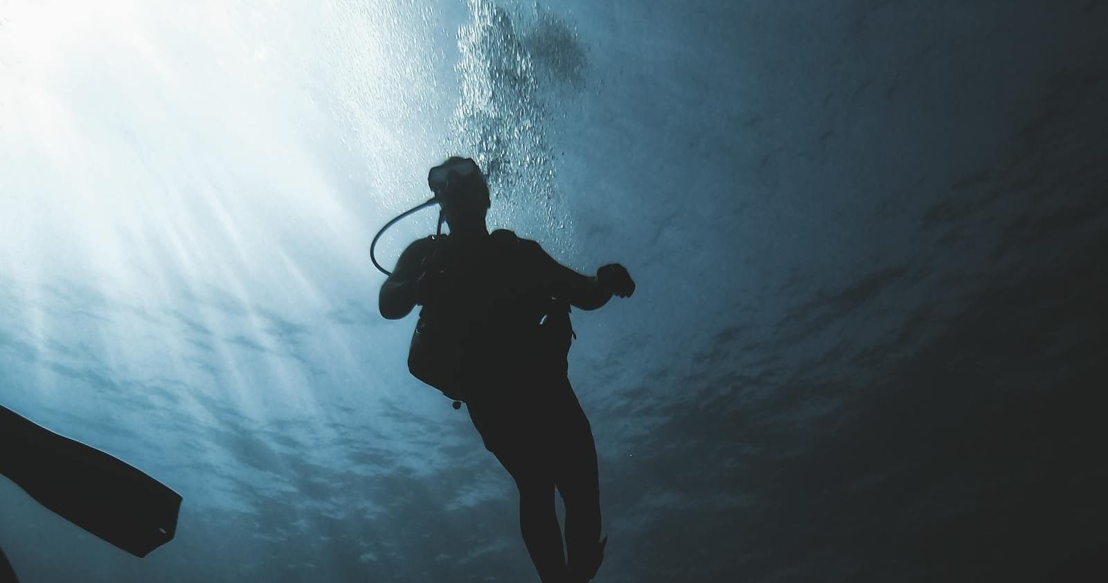 Master Your Scuba Gear: Essential Equipment Techniques Course in Ridgeland, Mississippi
