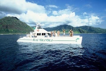 Private Sunset Dolphin & Snorkel Cruise with Ocean Joy