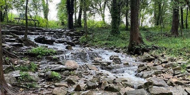 Discover Karst Hydrogeology on a Guided Hike at Lost River Cave, Kentucky