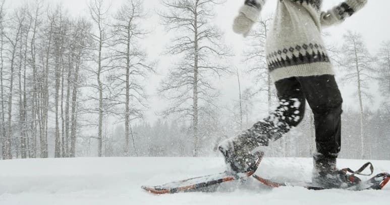 Private Guided Snowshoe Tour