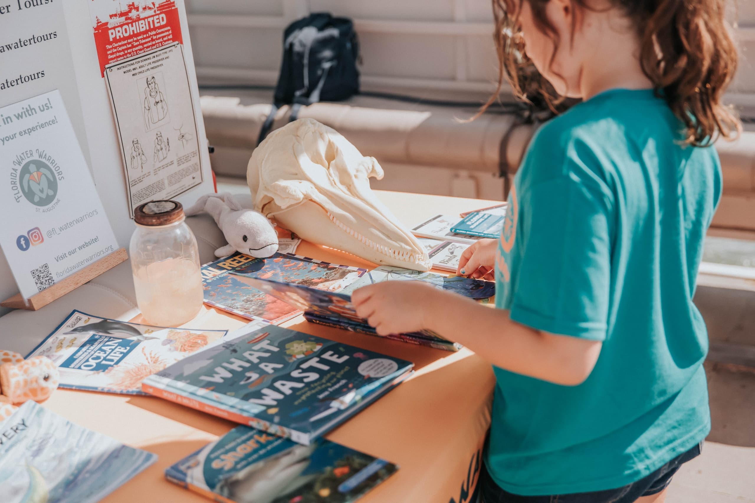 Explore St. Augustine’s Coastal Wildlife on a Marine Field Experience