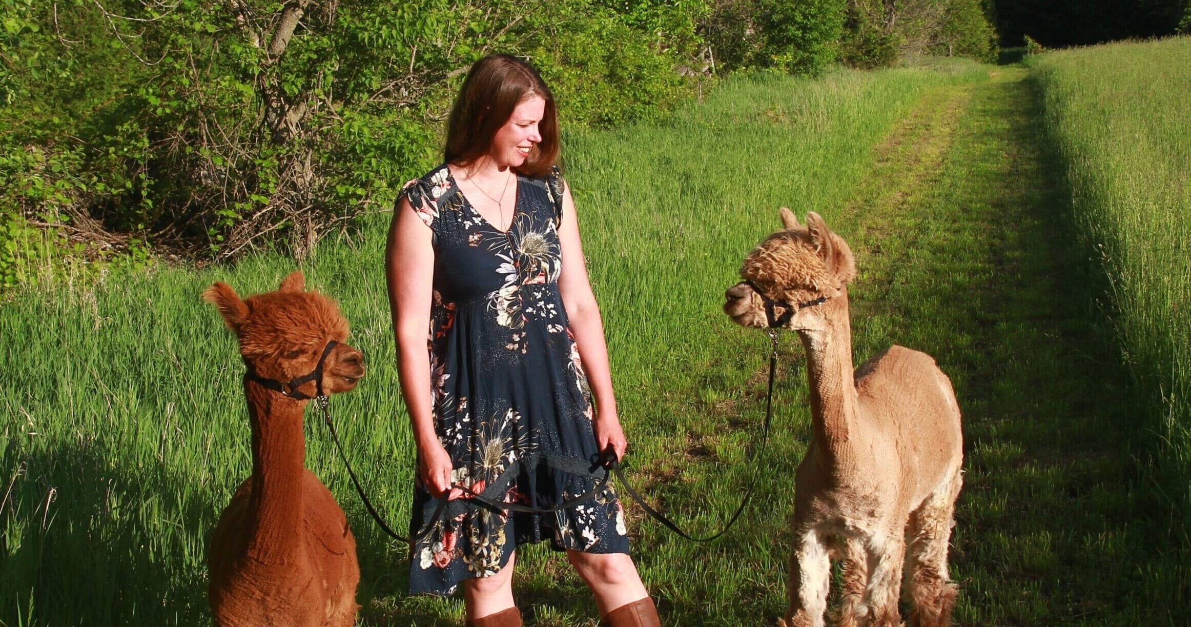 Land-Adventures & Wanderlight Alpaca Experience: A Unique Farm Walk