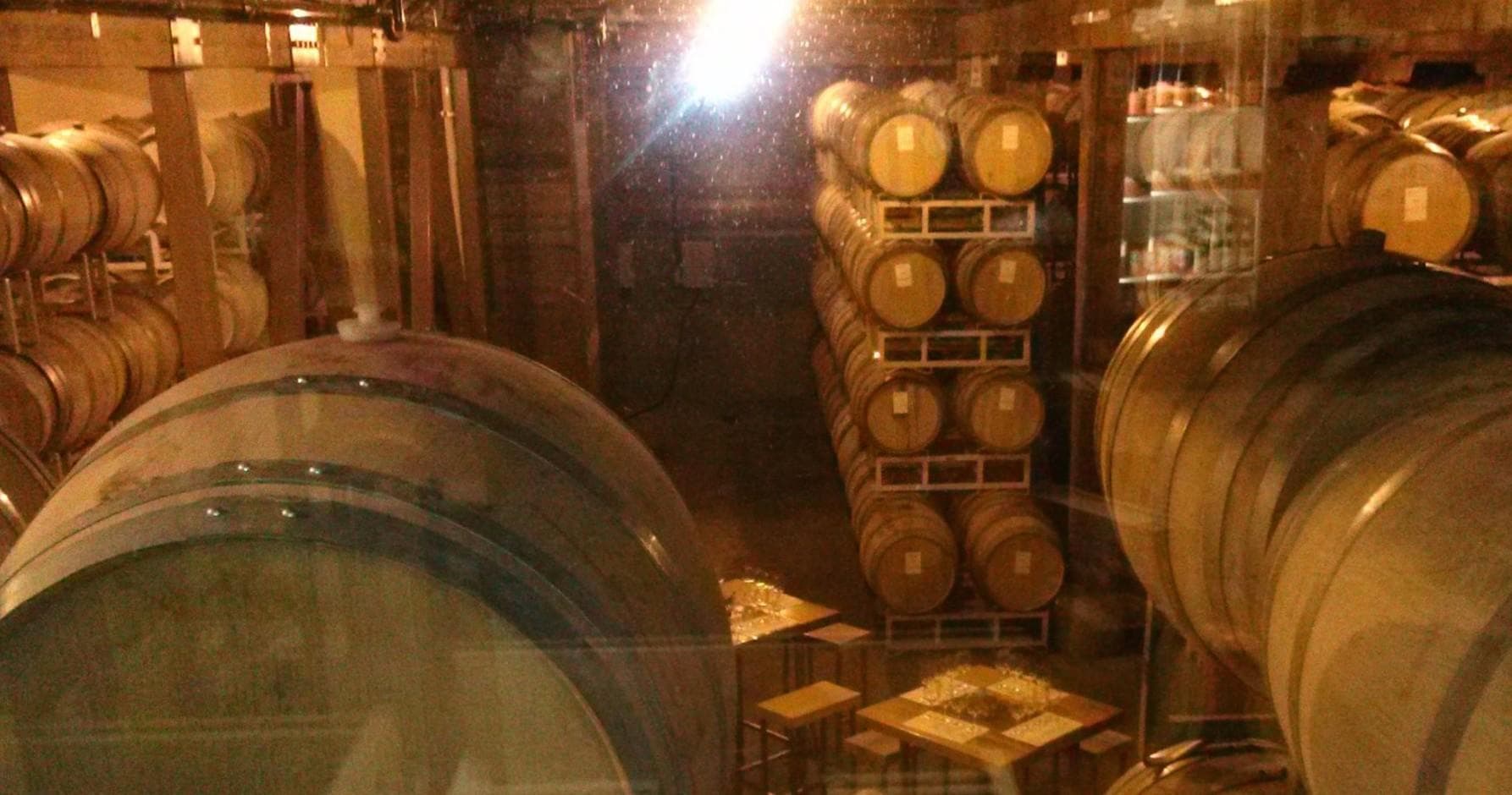 Wine Country Tours & Tastings in Sonoma and Napa Valleys